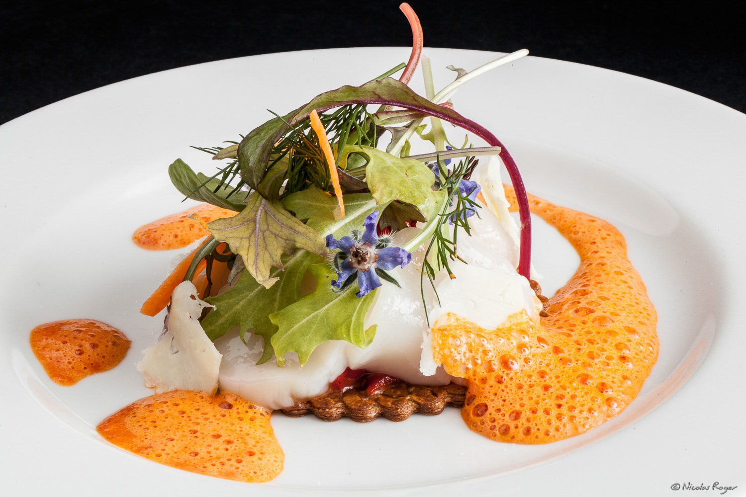 Photographe culinaire dans le puy de dôme