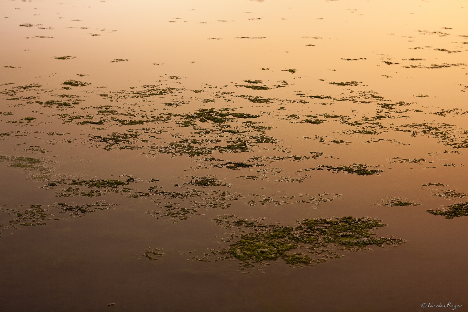 Photographie artistique, travail sur l&rsquo;eau