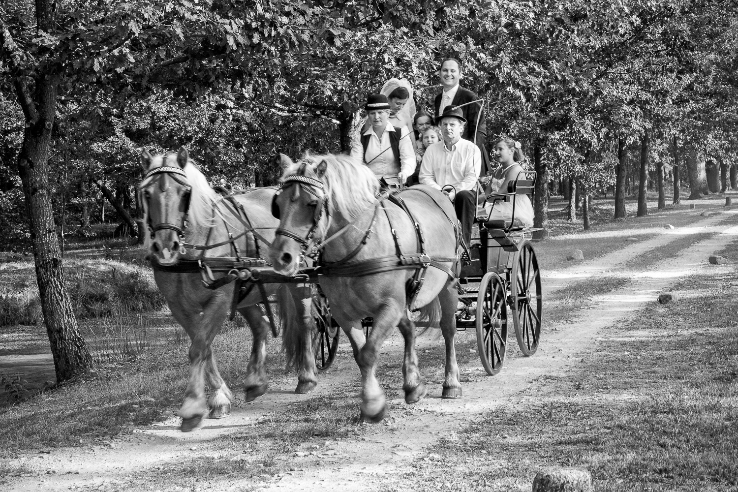 Arrivée des mariés en calèche