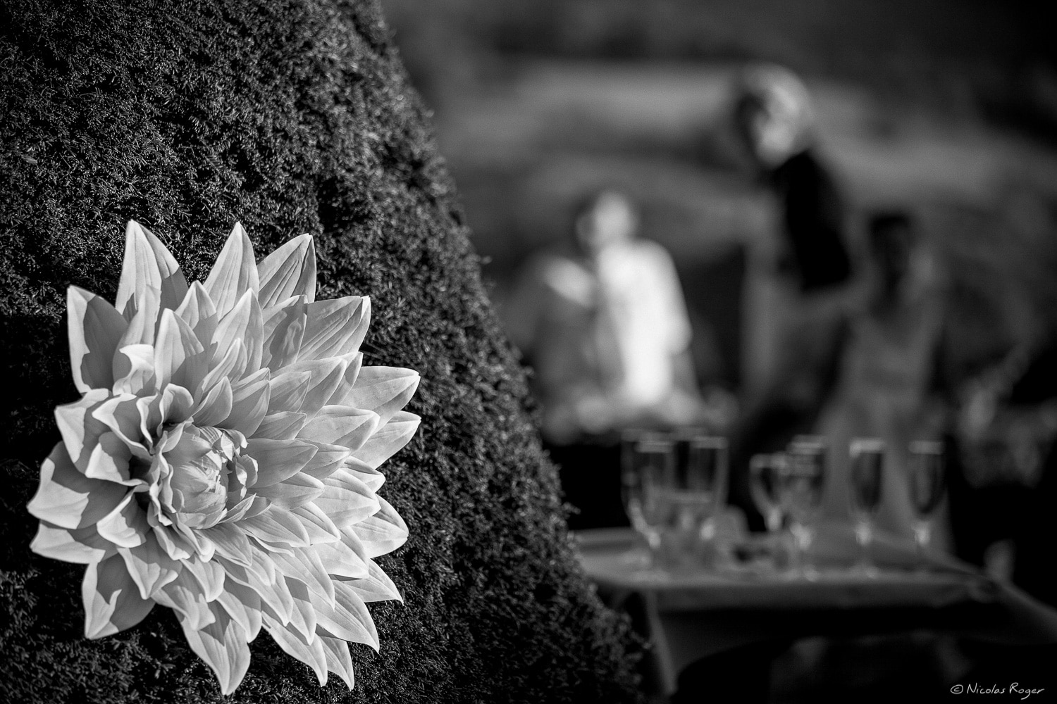 Photographie de décor de mariage