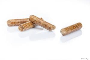 Photographie pachsot