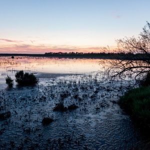 Photographie de paysage : Etang de Vaccares