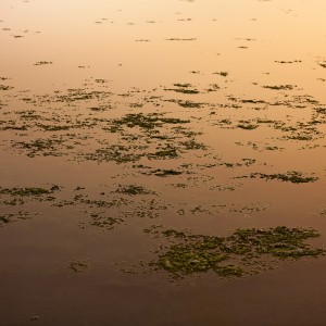 Photographie artistique, travail sur l'eau