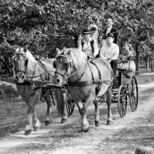 Arrivée des mariés en calèche